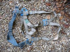 Tree Climbing Fall Arrest Body