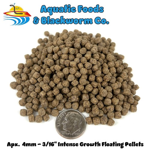 Lbs 4mm intense growth koi - growth,
