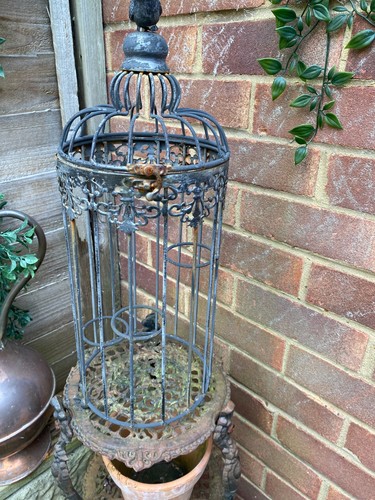 Hanging metalbird cage tea - hanging,