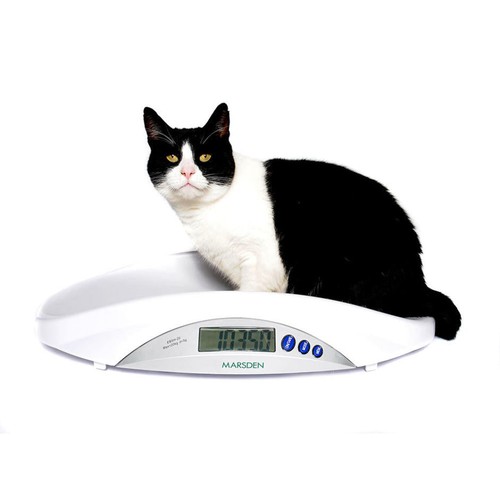 Marsden veterinary scale - v-22,