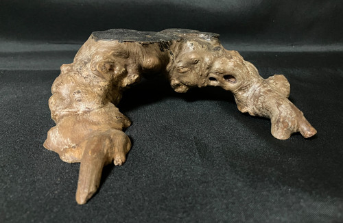 Japanese root wood - root,