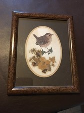 A pretty vintage 1978 Sharon