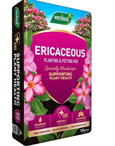 Westland ericaceous compost - westland,
