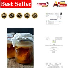 Medium 3L Kombucha Scoby with