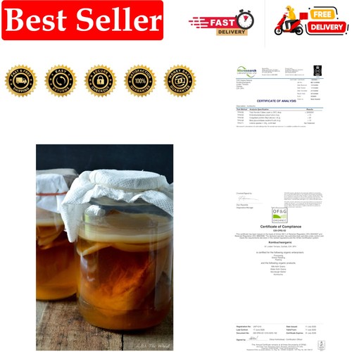 Medium kombucha scoby - medium,