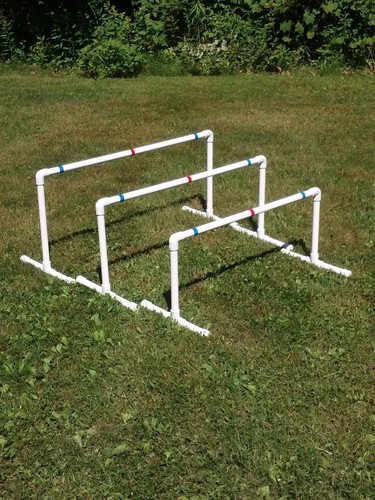 Dog agility equipment - dog, broad