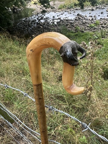 Rams horn walking market - horn,