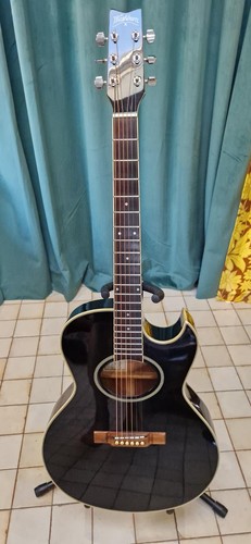 Washburn ea20b festival - ea20b,