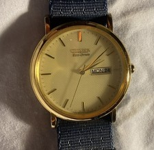 Citizen Eco Drive day date