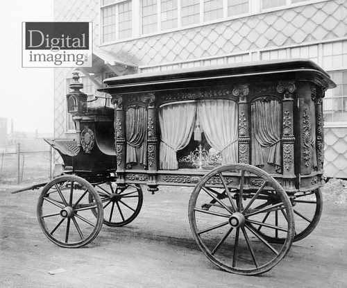 Historic photo reprint horse - historic,