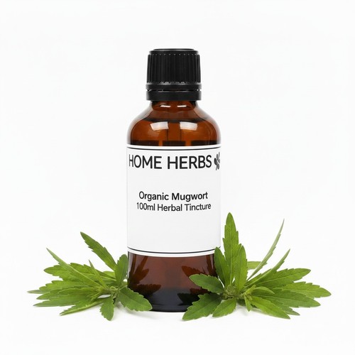 Organic mugwort artemisia - mugwort, (artemisia