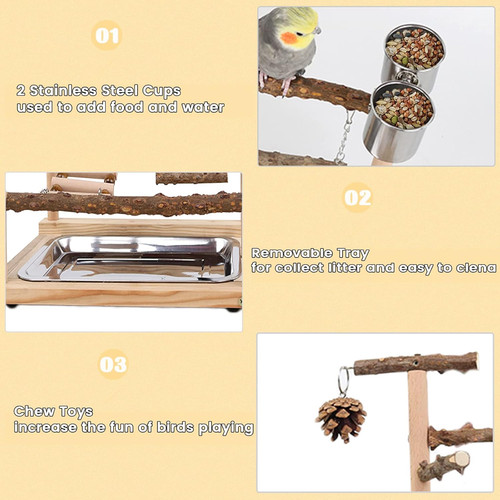 Bird playground parrot play - bird,