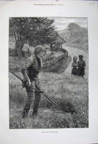Old antique print 1880 country - antique,