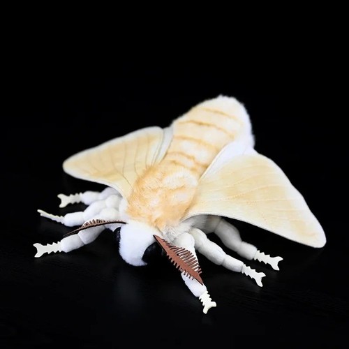 27cm silkworm moth plush - silkworm,