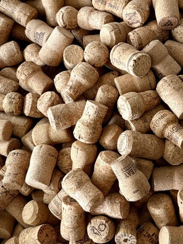 100 champagne sparkling wine - 100, /sparkling
