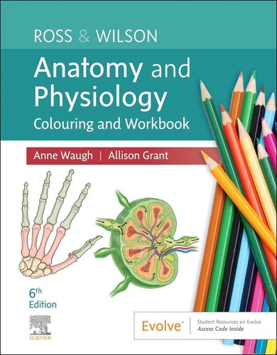 Ross wilson anatomy and - &,