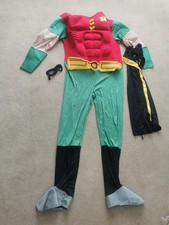 Deluxe Robin Mens Costume Teen