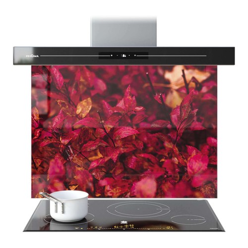 Kitchen glass splashback - kitchen,