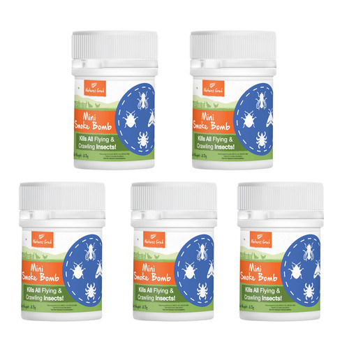 Spider killer treatment - 5,