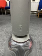  LED  Pendant Light Thorn