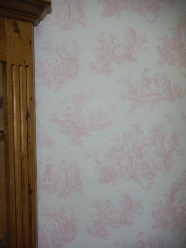 Red pink toile jouy - red,