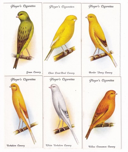 Six 1933 bird - bird, painting
