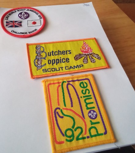 Scout badges