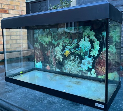 Fluval roma 125 litre aquarium - roma,