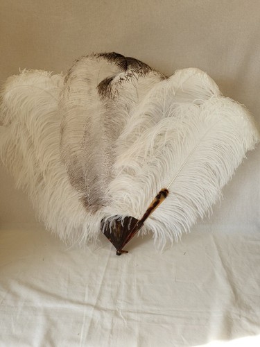 Beautiful large pale - ,