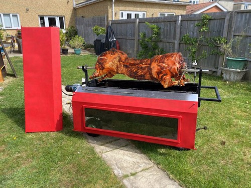 Spitting pig hog roast - hog,