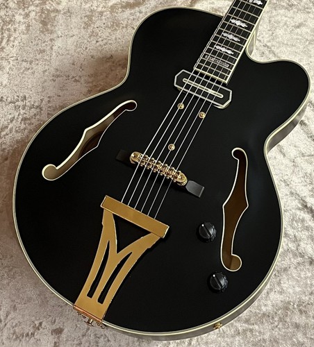 Ibanez pat metheny pm3c black - pat,