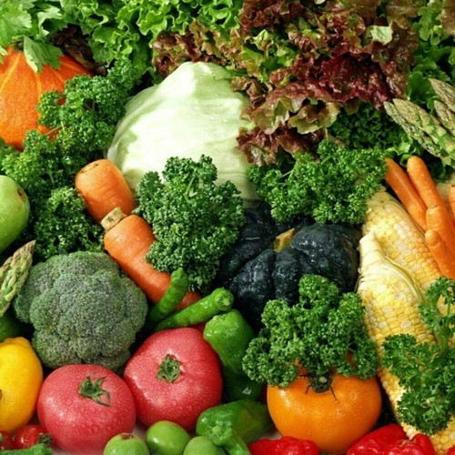 Vegetable organic plug - plug, plants