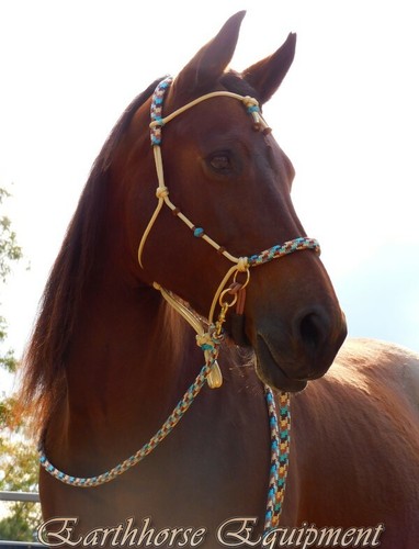Earthhorse equipment western - earthhorse, equipment,western