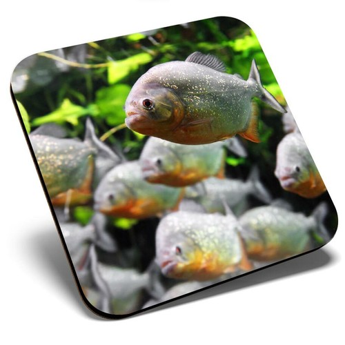 Square single coaster - single,
