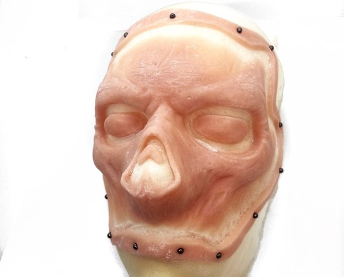 The ghoul fallout - fallout, face