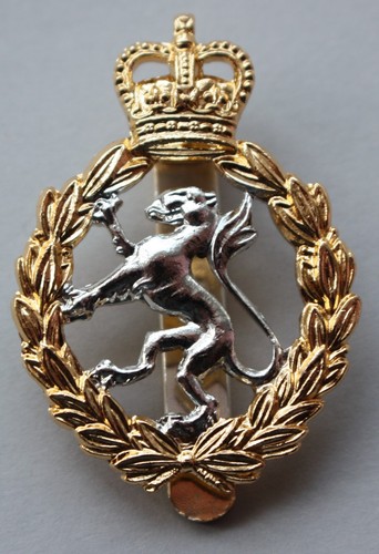 British army women royal - british,