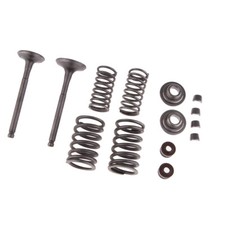 Intake & Exhaust Valves Spring