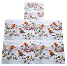 Christmas Robin Robins 4