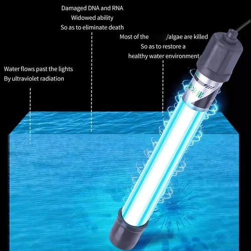 Aquarium light - aquarium,