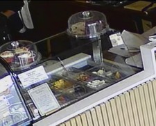 Display Fridge, Salad Display