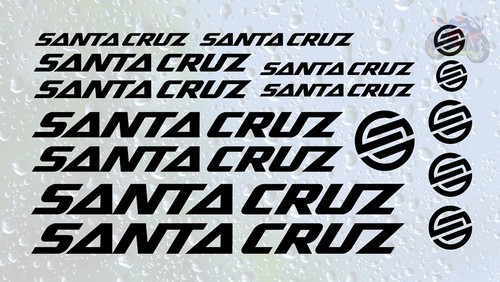 16pc santa cruz vinyl - 16pc,