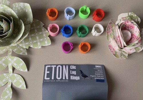 Eton clic universal - clic, leg
