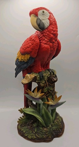Andrea scarlet macaw - macaw, parrot