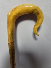 Genuine shepherds crook nose out rams horn 47.5 Inch