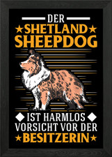 Shetland Sheepdog Besitzer