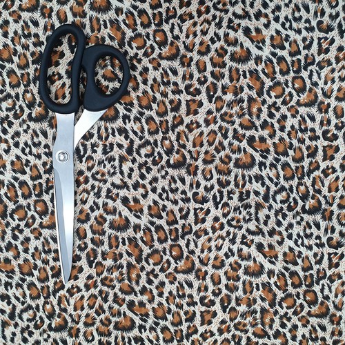 Animal cow leopard zebra - animal,
