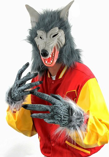 Wolf mask and hands costume - wolf,