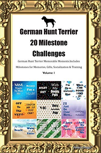 German hunt terrier - german,