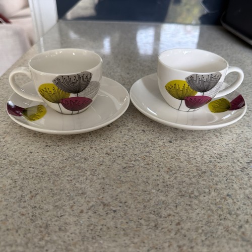 Queens sanderson dandelion - sanderson,
