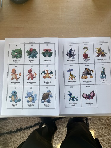 Pokemon full pokédex - pokédex, binder